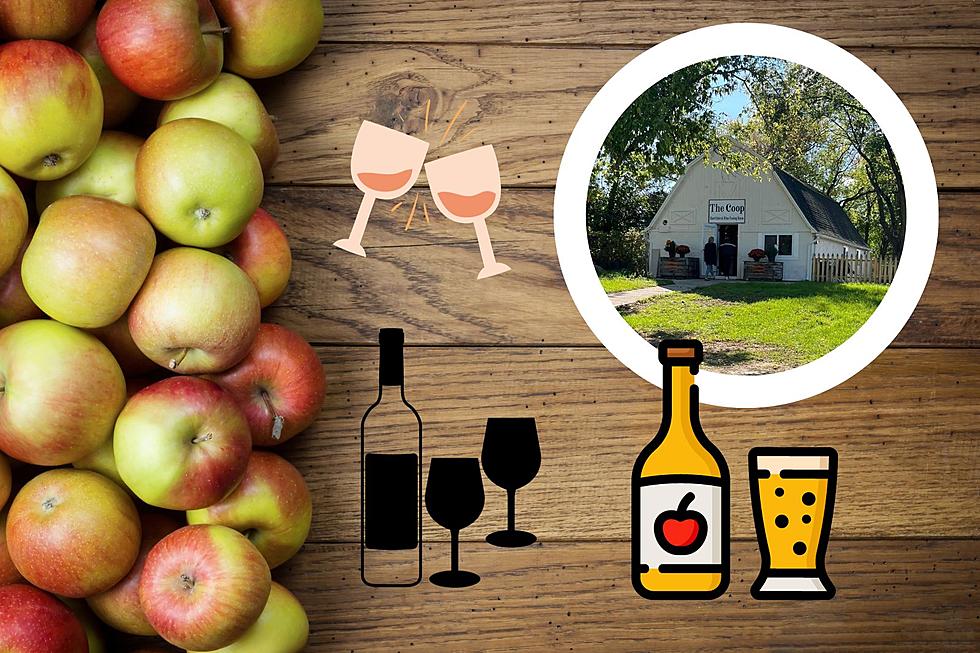 Flint Area Can Now Experience a New Winery and Hard Cider Room
