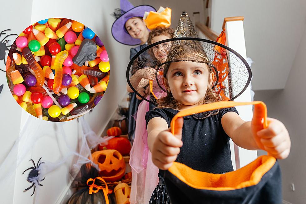 Spooky Season Sweets!  Michigan's Most Popular Halloween Candy