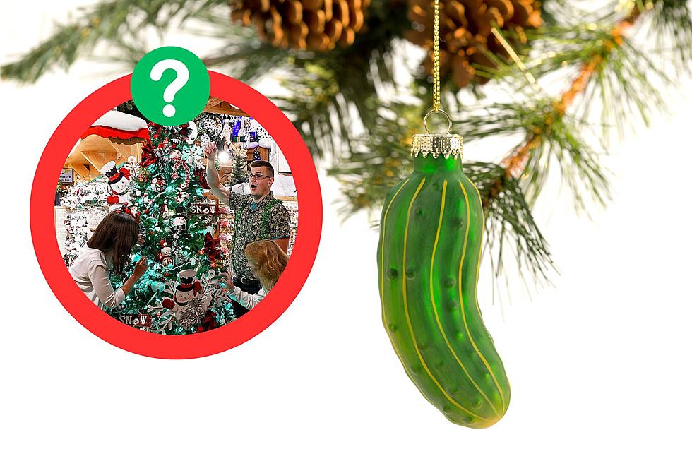 Why Does Michigan Love Hiding Pickles in a Christmas Tree?