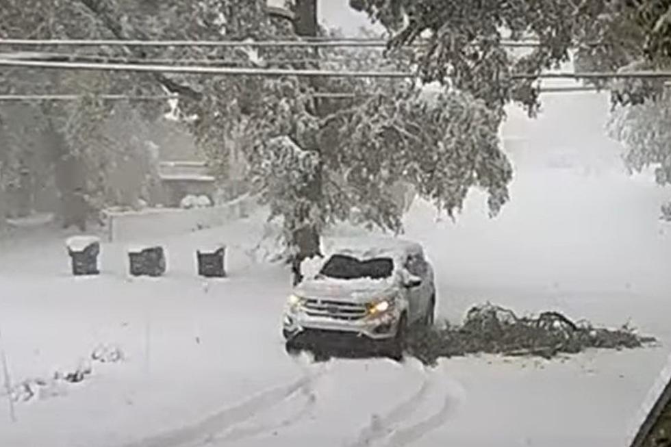 Watch: West Michigan Woman Gets Clobbered by a Snow Covered Tree Branch