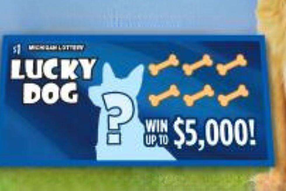 Michigan Lottery Wants to Feature Your Dog on a New Instant Ticket