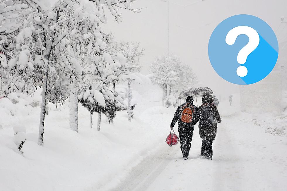 What Does an El Niño Winter Mean for Michigan This Year? 