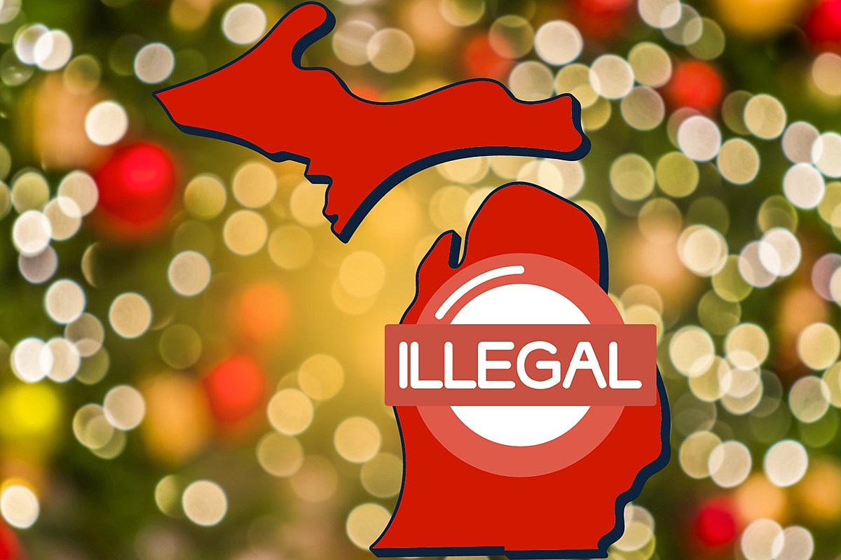 Have these popular Christmas decorations been banned in Michigan?