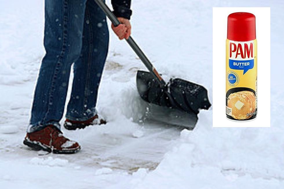 Hate Shoveling, Michigan? Here Are Six Fun Alternatives