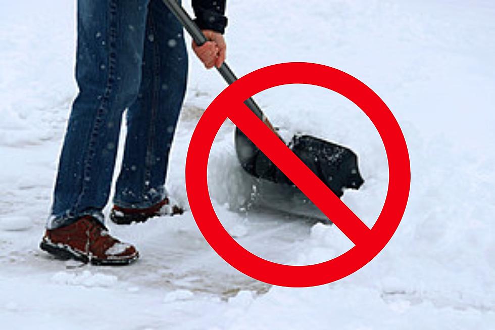 Hey Michigan:  Six Creative Ways to Remove Snow Without Shoveling