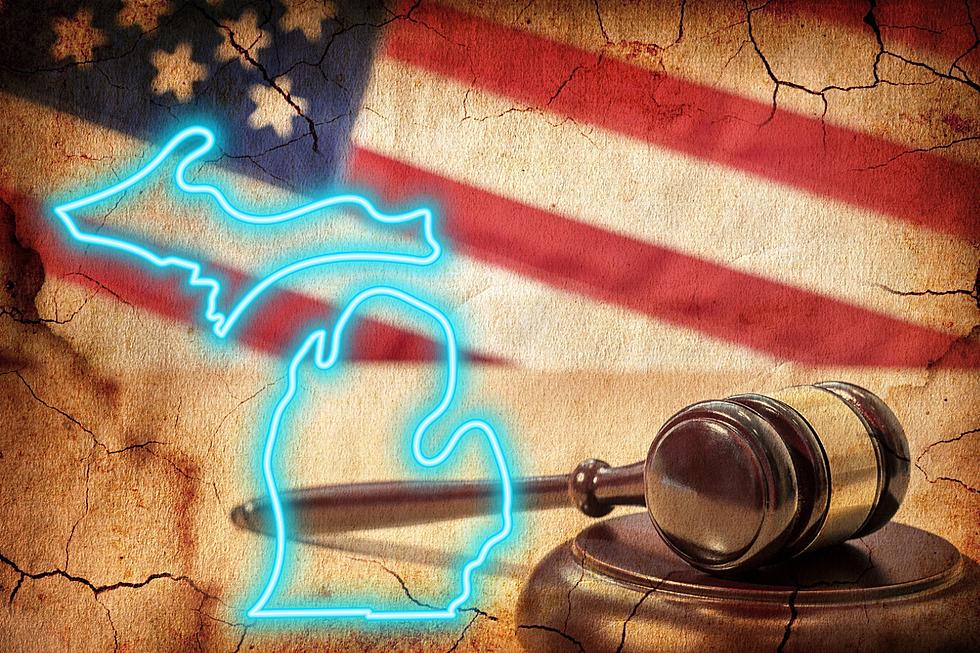 New Laws That Will Go Into Effect in Michigan in 2024
