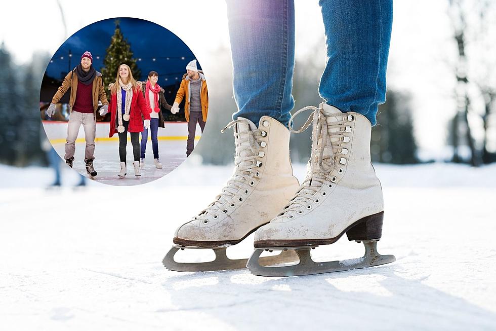 Mid-Michigan Home To Top Ice Skating Rink in America