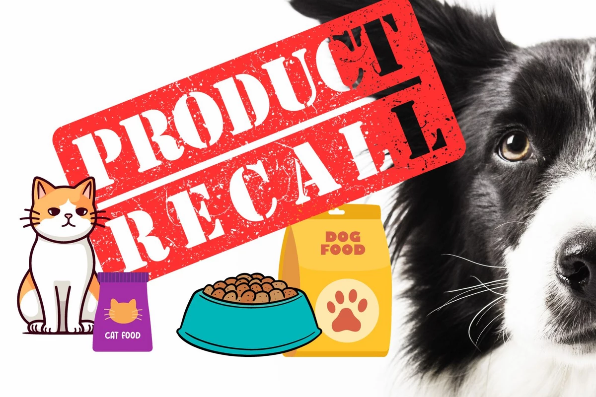 New Pet Food Recall for Michigan Dog and Cat Owners