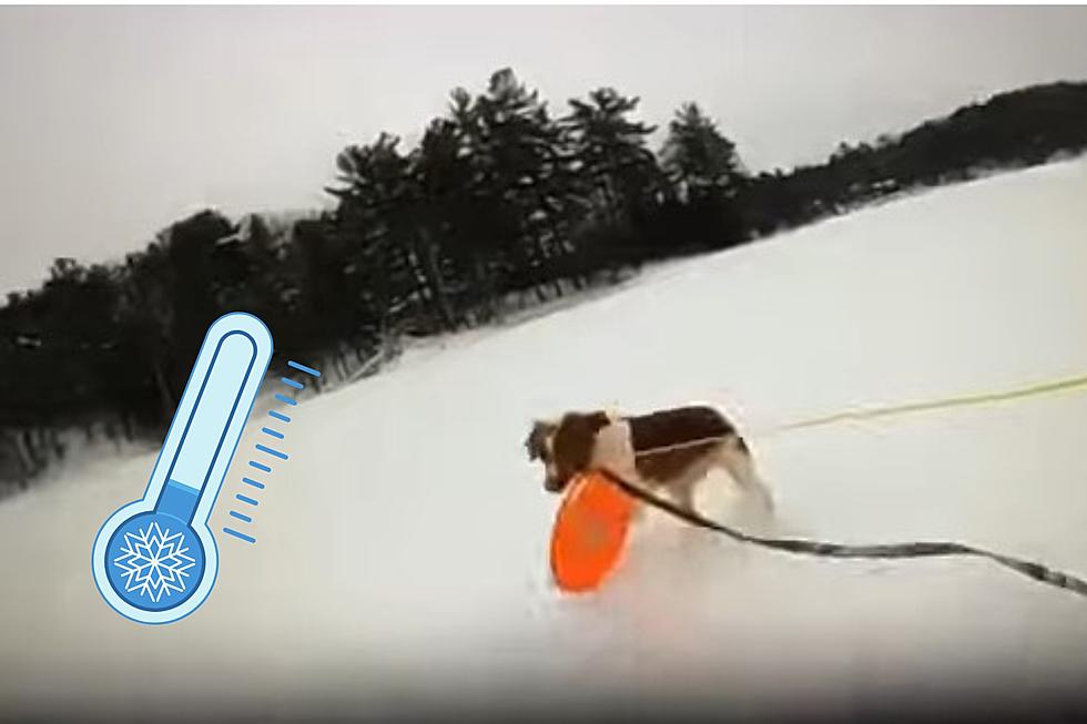 Watch: Man’s Dog + Cops Rescue Michigan Man Who Fell Through Ice