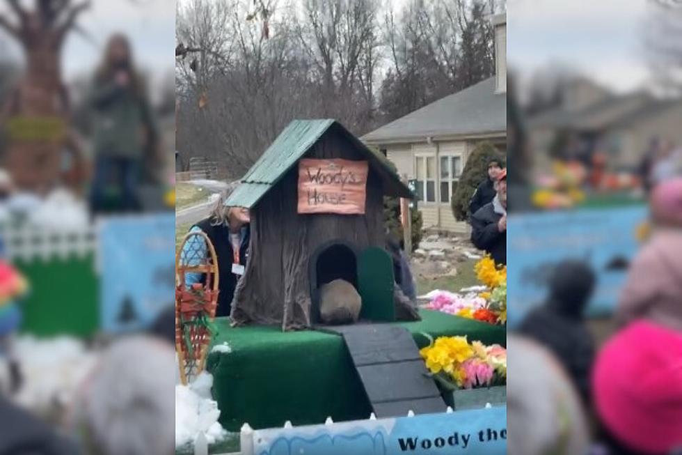 Howell's Woody the Woodchuck is Michigan's Groundhog Day Hero