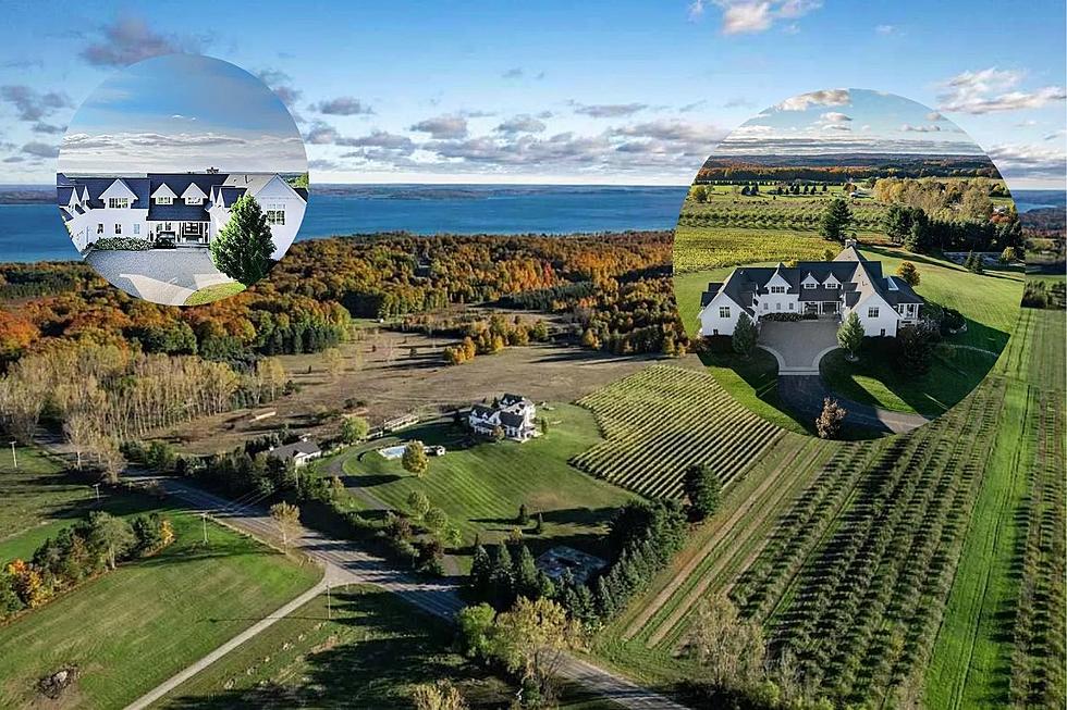 Own This $3.9M Dream Vineyard: Luxurious Estate For Sale With Stunning Bay View