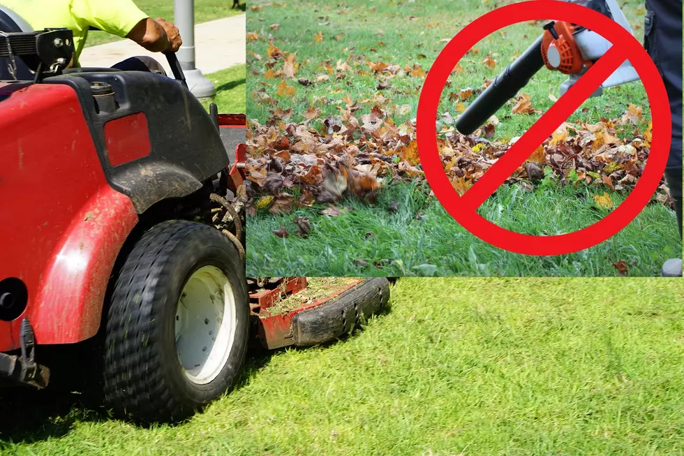 One Michigan City is About to Ban Gas-Powered Leaf Blowers