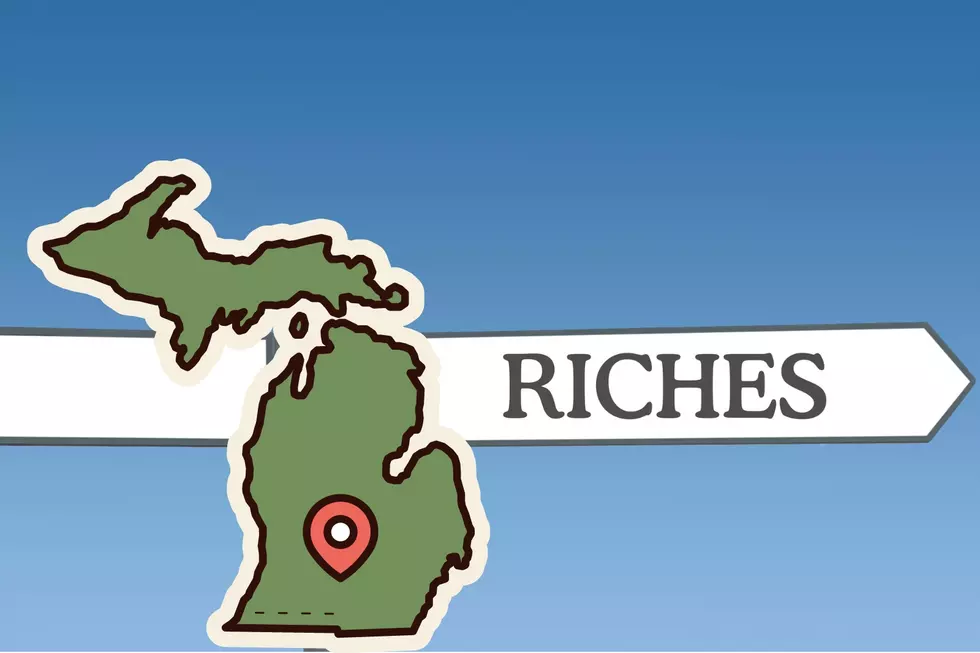 Just How Rich? Two Michigan Families Among America's Wealthiest