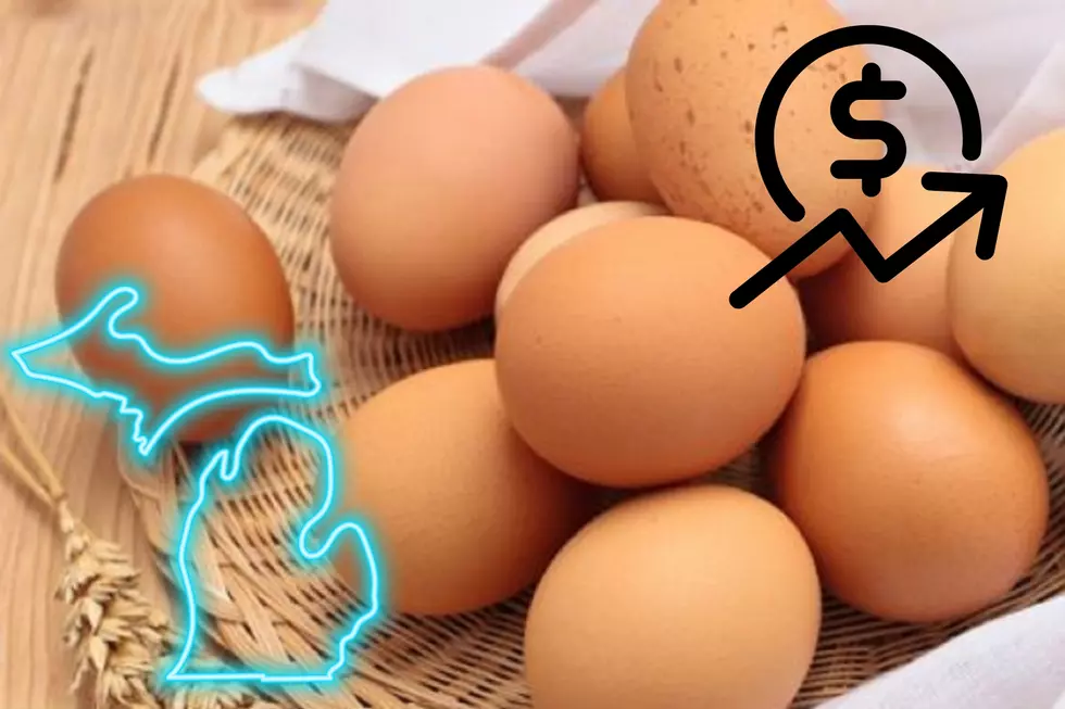 Egg Prices Will Skyrocket Again in Michigan – Here’s Why