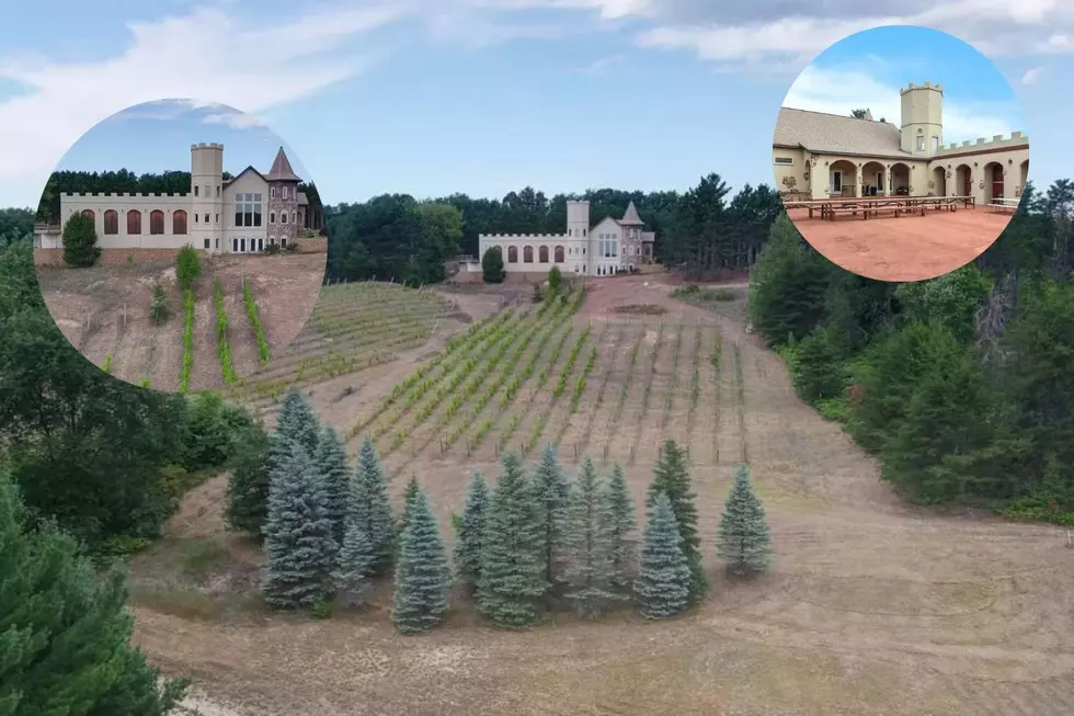Huge Potential! Own This Unique Castle & Vineyard For Under $1M