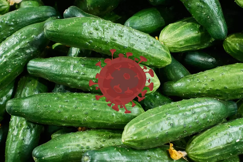 Salmonella Outbreak Tied to Cucumbers Sickens Nearly 450 in Michigan, Other States