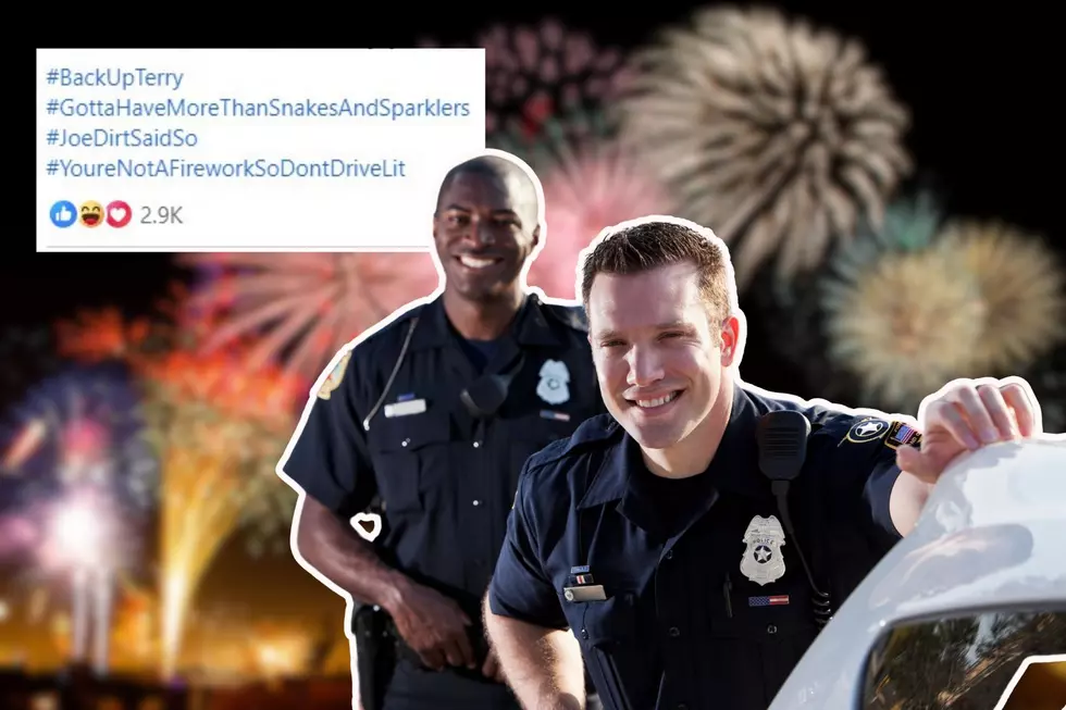 Michigan Police Department Offers Best Damn Fireworks Advice, Ever