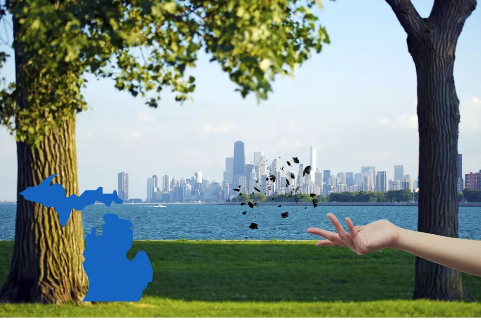Ashes to Ashes: Can You Legally Scatter a Loved One’s Remains Anywhere in Michigan?