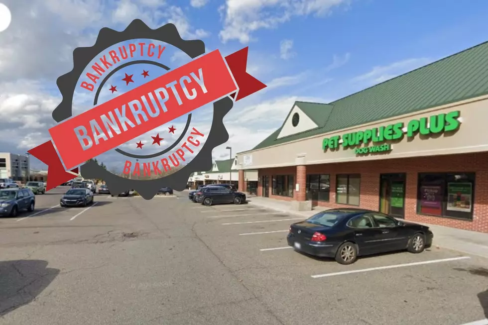 Michigan Based Pet Supply Giant’s Parent Company Files Bankruptcy