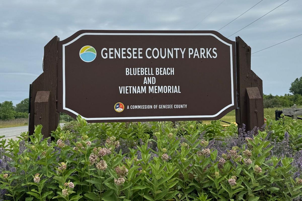 Michigan Lakefront Beach Reopens After Bacteria Risk