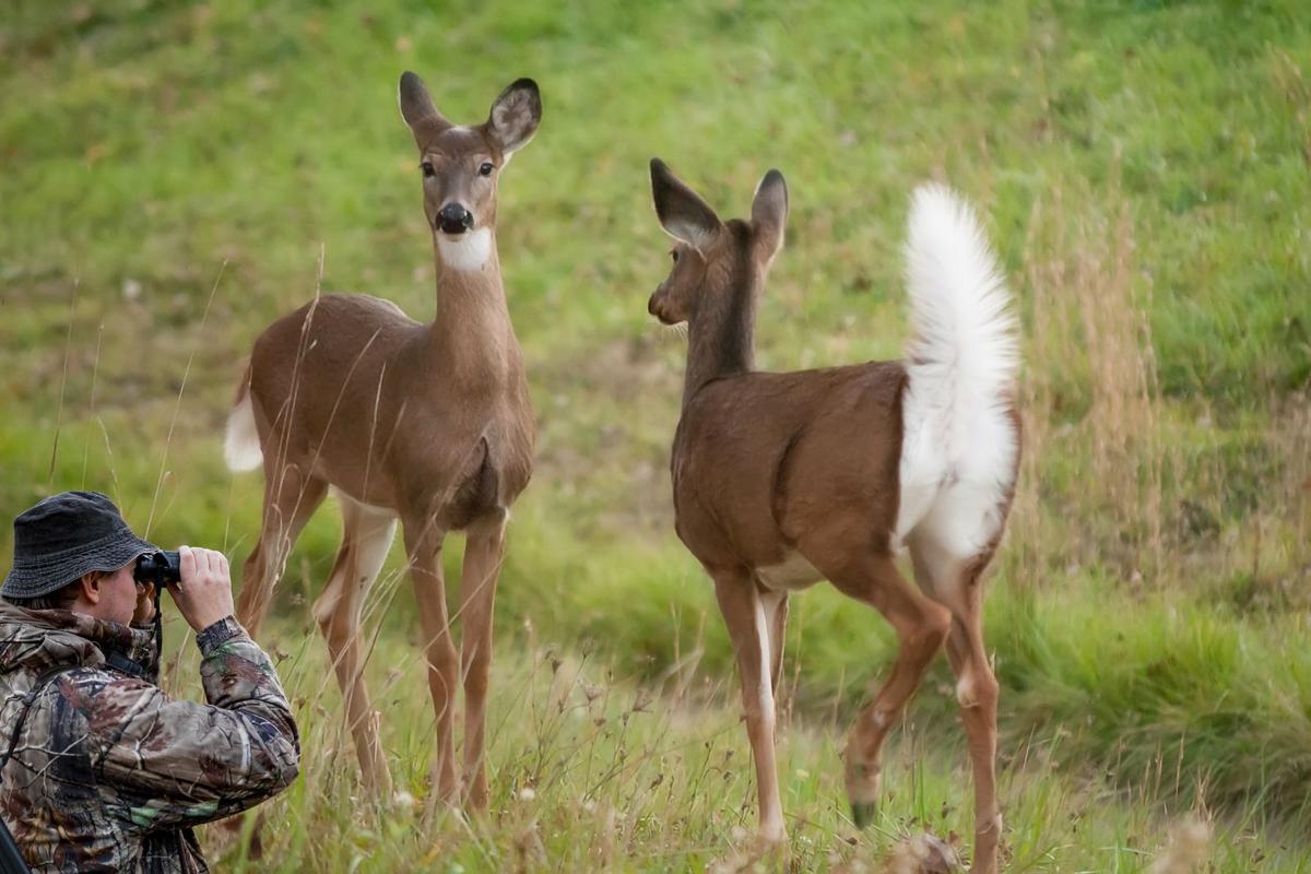 Michigan DNR Issues Warning to Deer Hunters