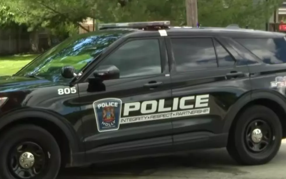 Missing Toddler Found Safe After Massive Michigan Search