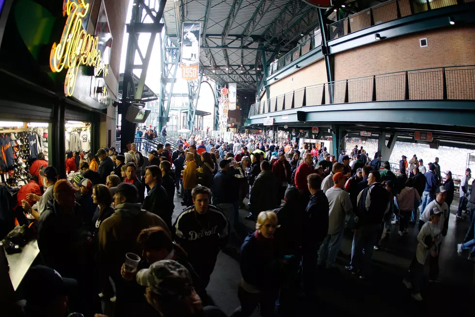 Detroit Tigers Fans Reveal Their Game Day Beer and Hot Dog Habits