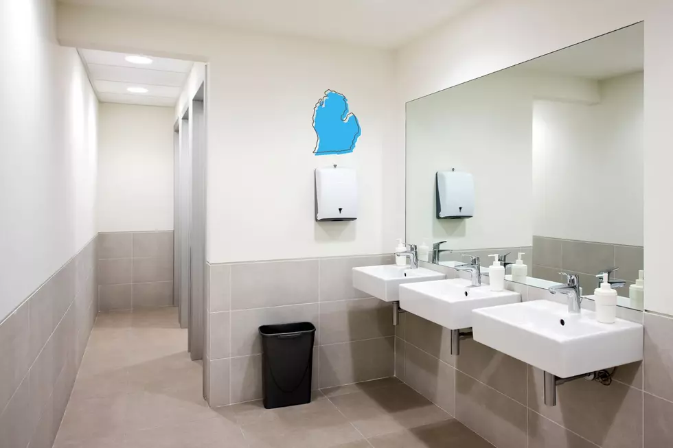 These 20 Michigan Bathrooms Will Save Your Next Road Trip