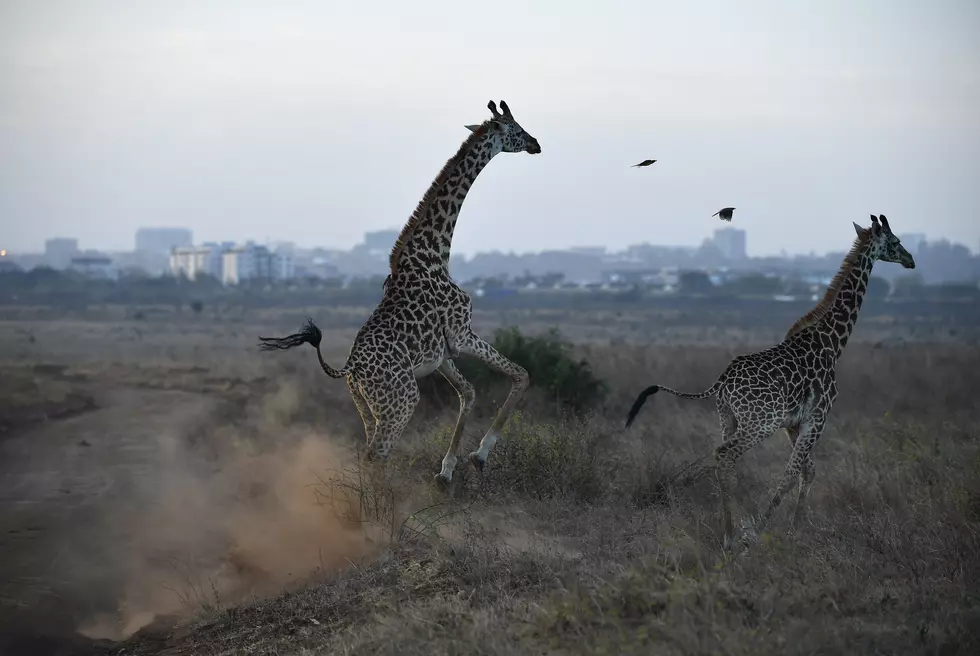 Stuart Franklin/Getty Images