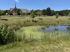 Driver Trapped After Vehicle Ends Up in Pond at Fenton Church Sunday Morning