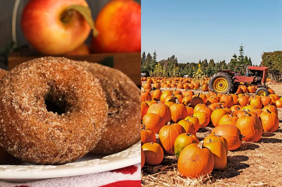 20 Awesome Cider Mills and Apple Orchards In and Around Genesee County