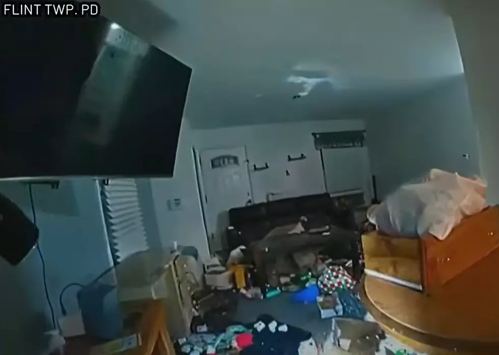 Feces On The Wall And Two Boys Left Alone: Flint Mom Admits Abandonment
