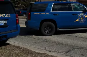 Woman Killed in Michigan Hit and Run, Flint Police Searching for Driver