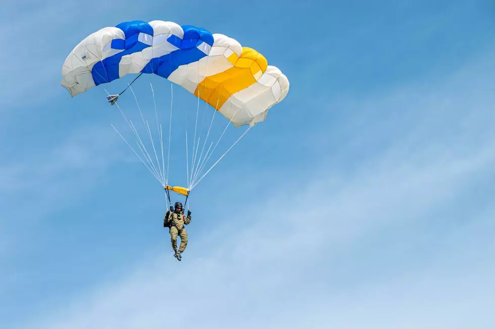 Firefighters Rescue Michigan Parachuter From a Tree, But What About the Tree?
