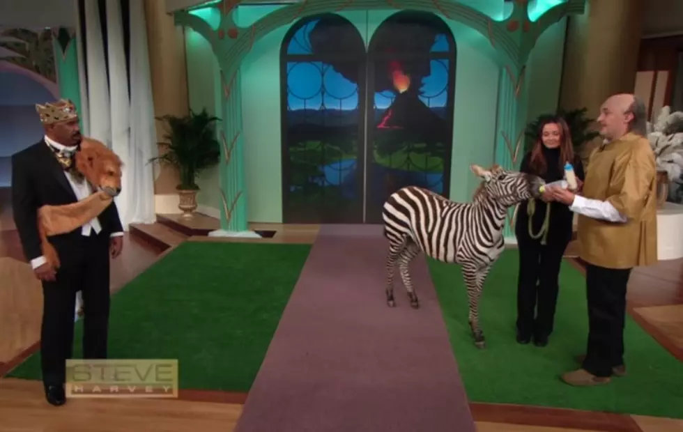 Jeff Musial Showcases African Animals on &#8216;Steve Harvey&#8217;