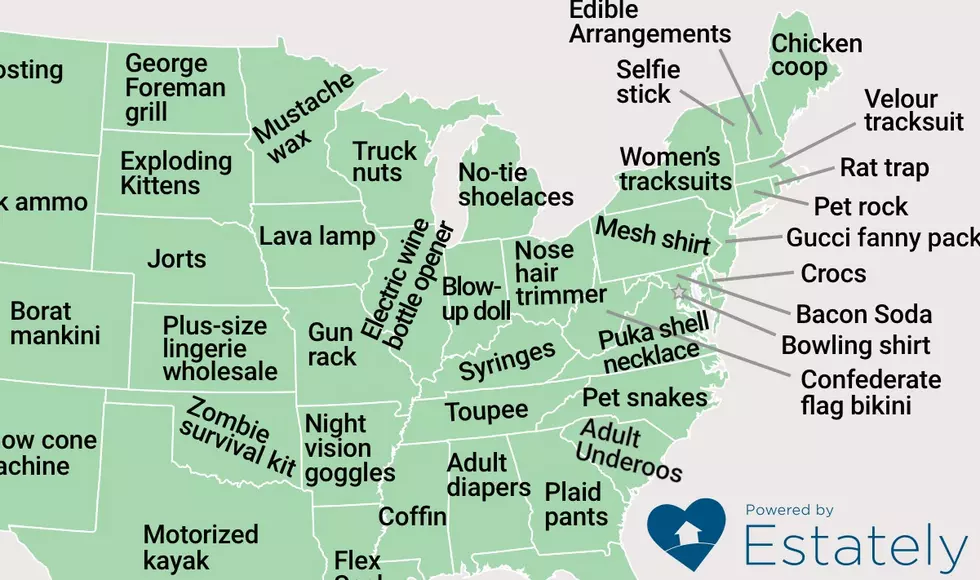 Michigan&#8217;s Google Search Isn&#8217;t That Weird When It Comes To Shopping Online