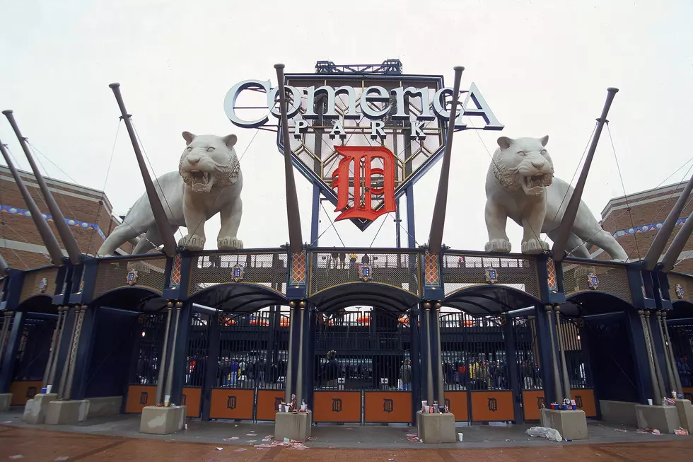 The Tigers Would Like For You To Not Bone at Comerica Park, Thanks