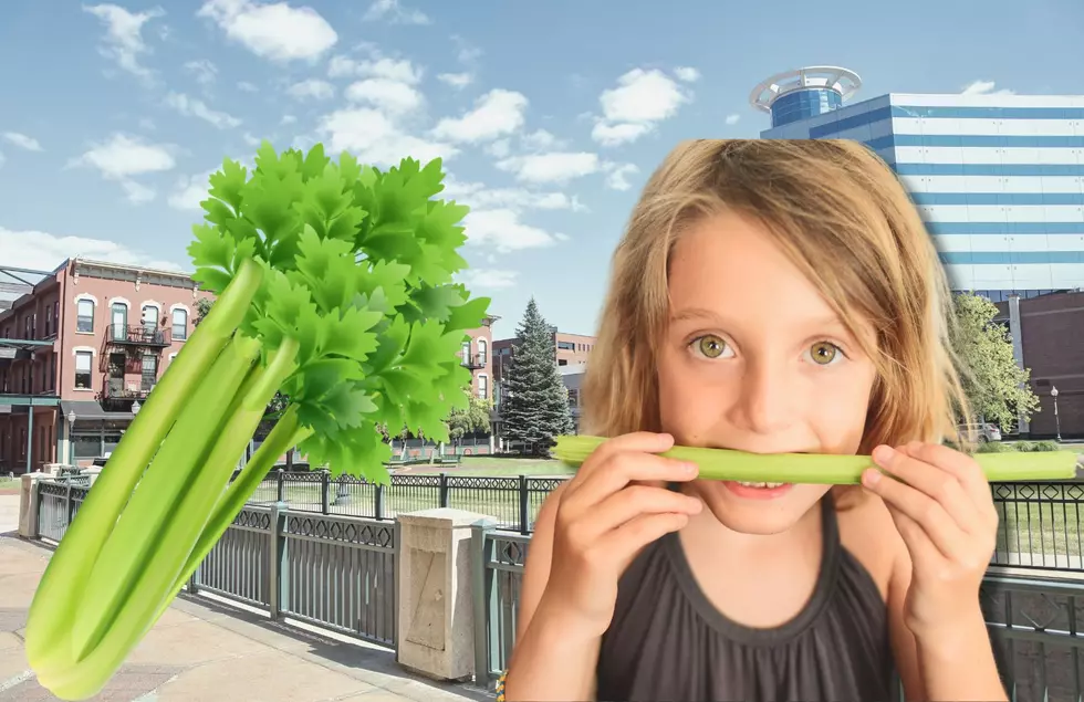 Why Is Kalamazoo, Michigan Called ‘The Celery City’?!