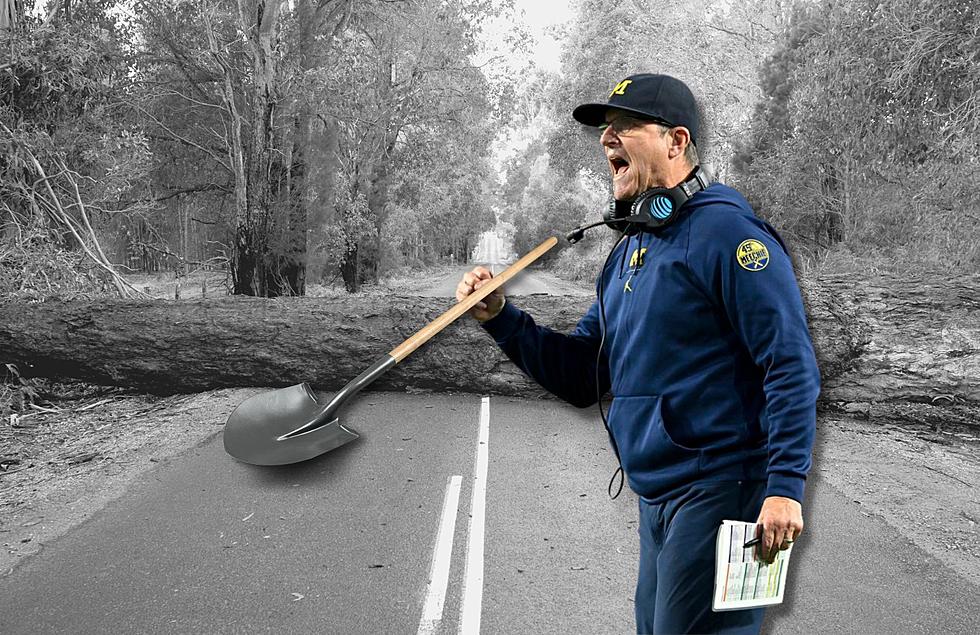 University of Michigan Coach Jim Harbaugh Helps Ann Arbor Police Officer Move Fallen Tree