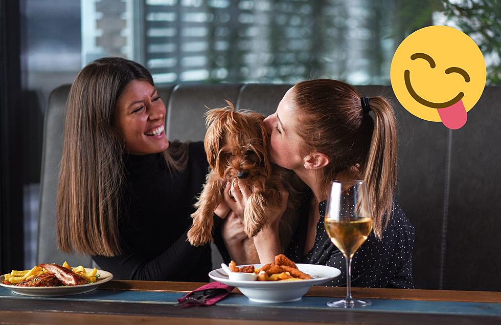 Bring Your Pup To These 10 Dog-Friendly Restaurants in Grand Rapids