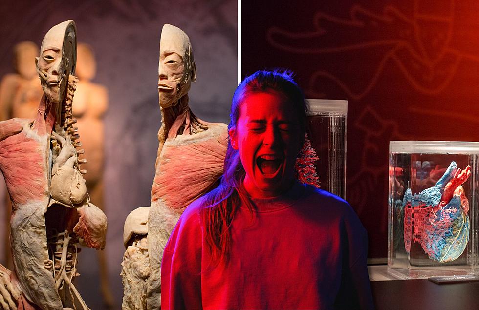 This Michigan Museum Has an Exhibit With REAL BODIES?!