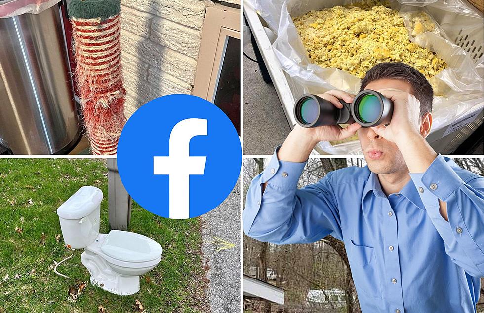 Check Out Weird Things You Can Get For Free on Facebook Marketplace in Grand Rapids