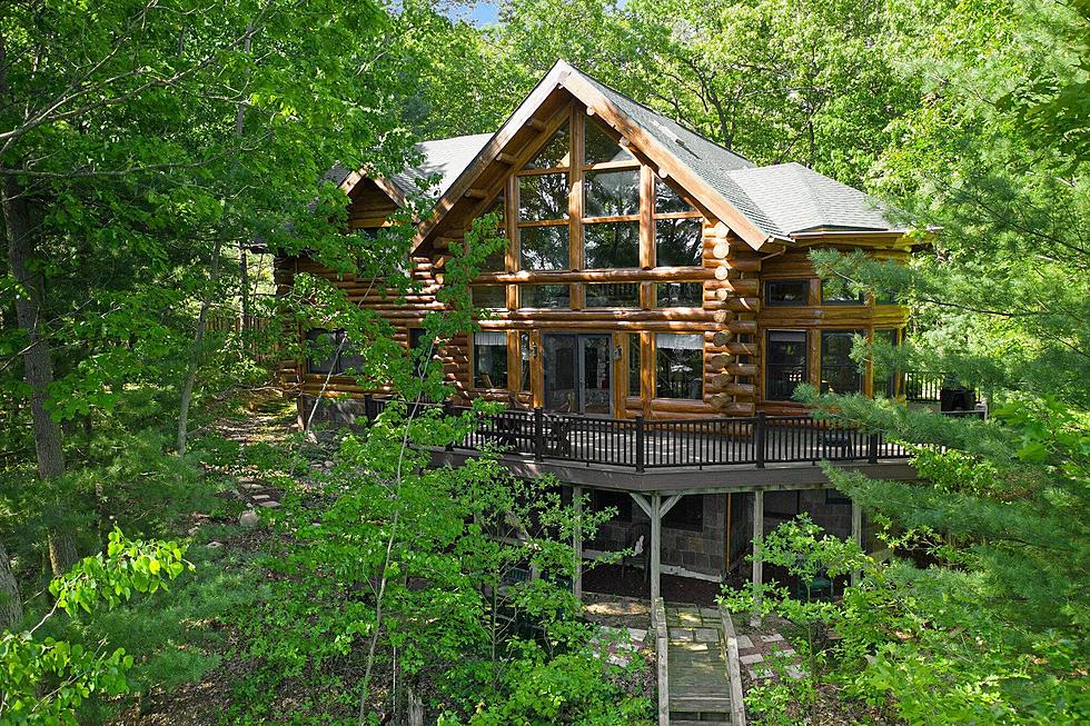 Would You Pay This Much For A Log Treehouse In Allegan, Michigan?
