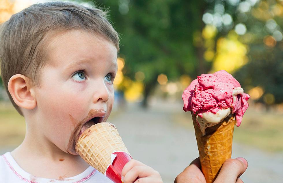 Michigan Ice Cream Shop Makes Best in the Nation for Soft Serve