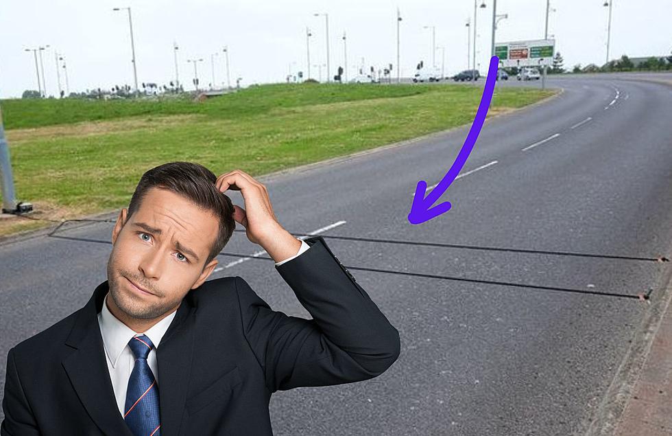 Watch Out! Do You Know What Those Two Random Black Cables On Michigan Roads Mean?