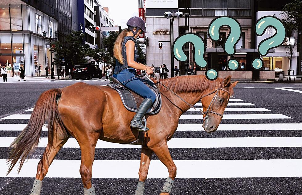 Is It Legal To Ride A Horse On The Road In Michigan?