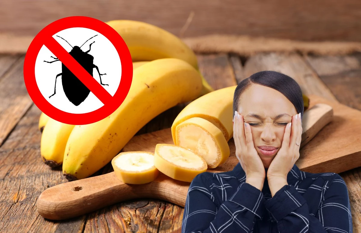 The Most Annoying Bug Is Back In Michigan AND How To Kill It