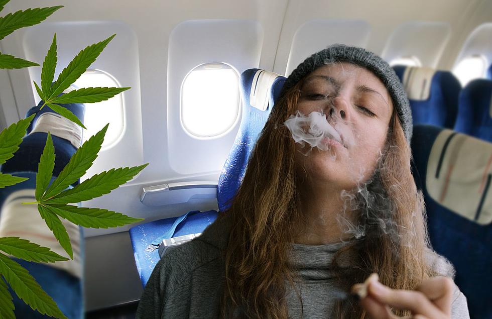 Mile High: Can People From Michigan Legally Fly With Weed Edibles?