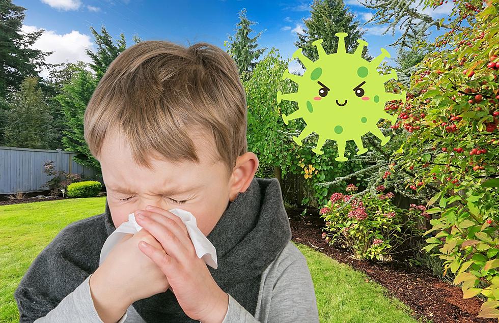 Many in Michigan Getting Sick from Something in their Backyards