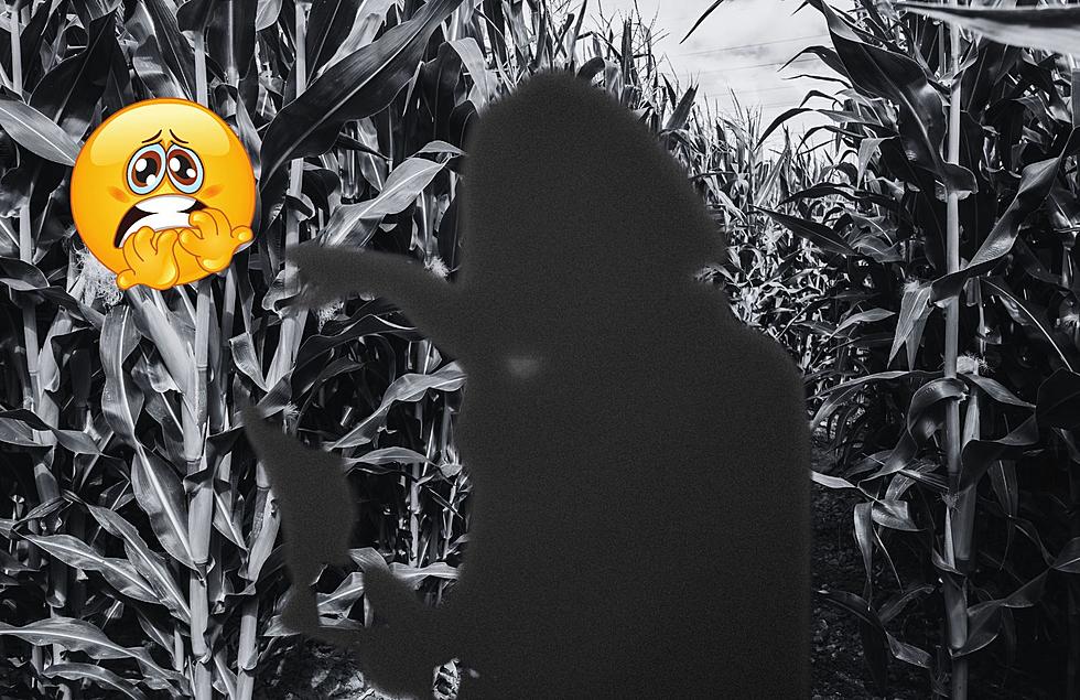 The World&#8217;s Creepiest Corn Maze is Only 3 Hours Away From Grand Rapids